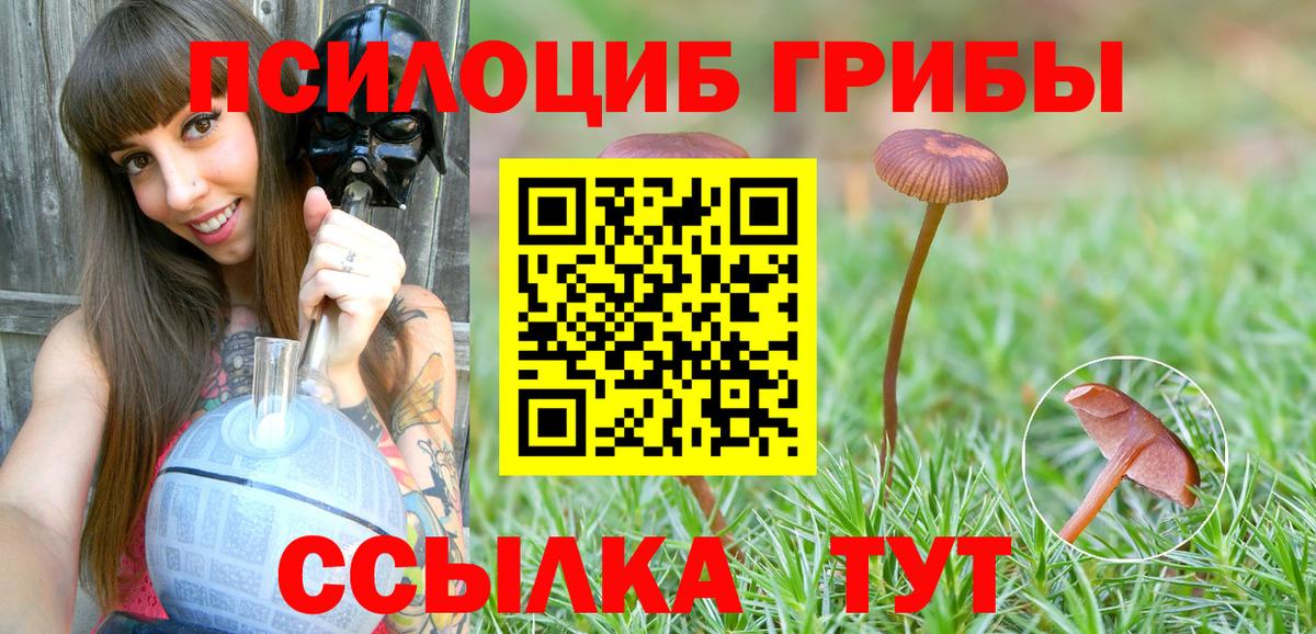 Галлюциногенные грибы GOLDEN TEACHER  Вход с VPN  Галлюциногенные грибы прущие грибы  Вольск 